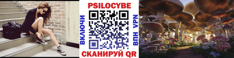 Псилоцибиновые грибы прущие грибы  купить наркотики цена  Чулым 